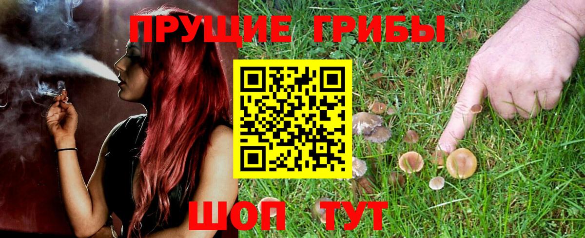 Пушкино  Псилоцибиновые грибы мухоморы  Псилоцибиновые грибы MAGIC MUSHROOMS  Вход с VPN 